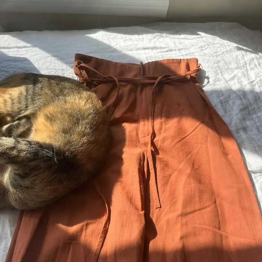 Zara linen blend pants in